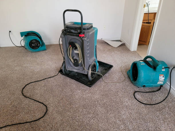 Water damage restoration insurance claims in Clinton, WA