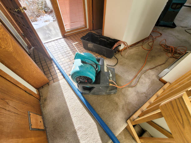 Best Mold removal after water damage  in Clinton, WA