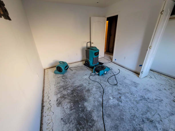 Trusted Clinton, WA Water damage restoration Experts