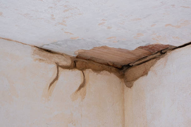  Clinton, WA Water damage restoration Pros