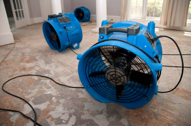 Best Water damage restoration process  in Clinton, WA