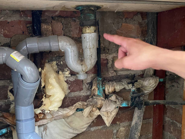 Best Flood damage cleanup  in Clinton, WA