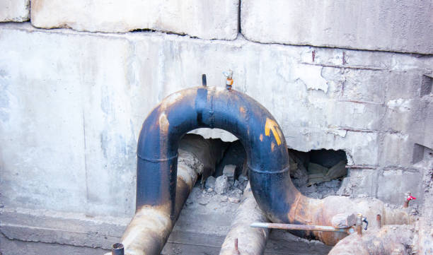 Best Water damage contractors near me  in Clinton, WA