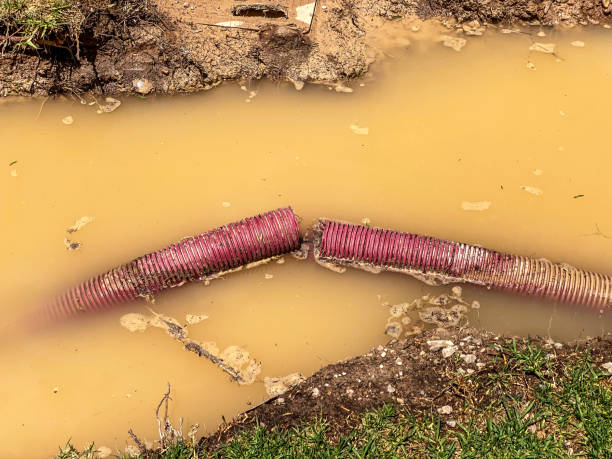 Best Basement water damage restoration  in Clinton, WA